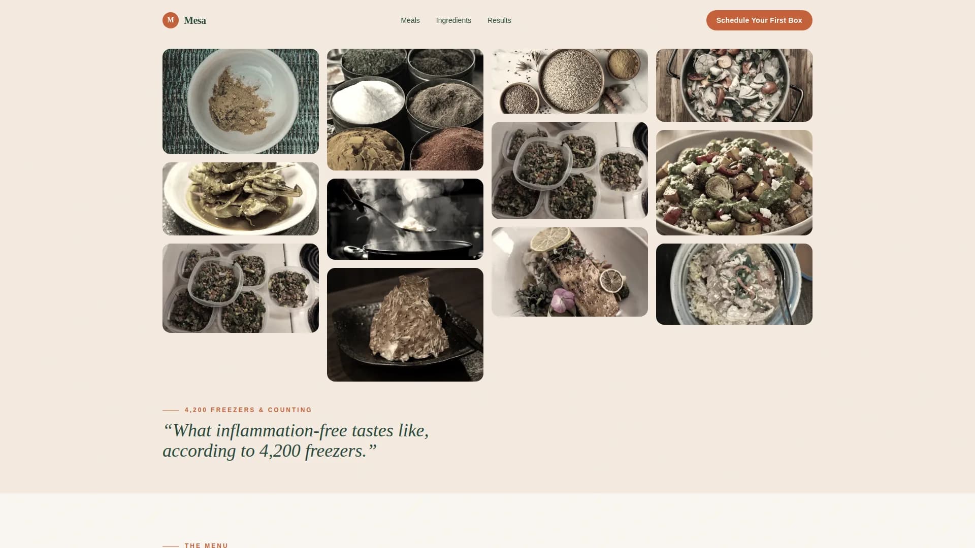 Mesa — Meal Delivery Subscriptions Landing Page Template