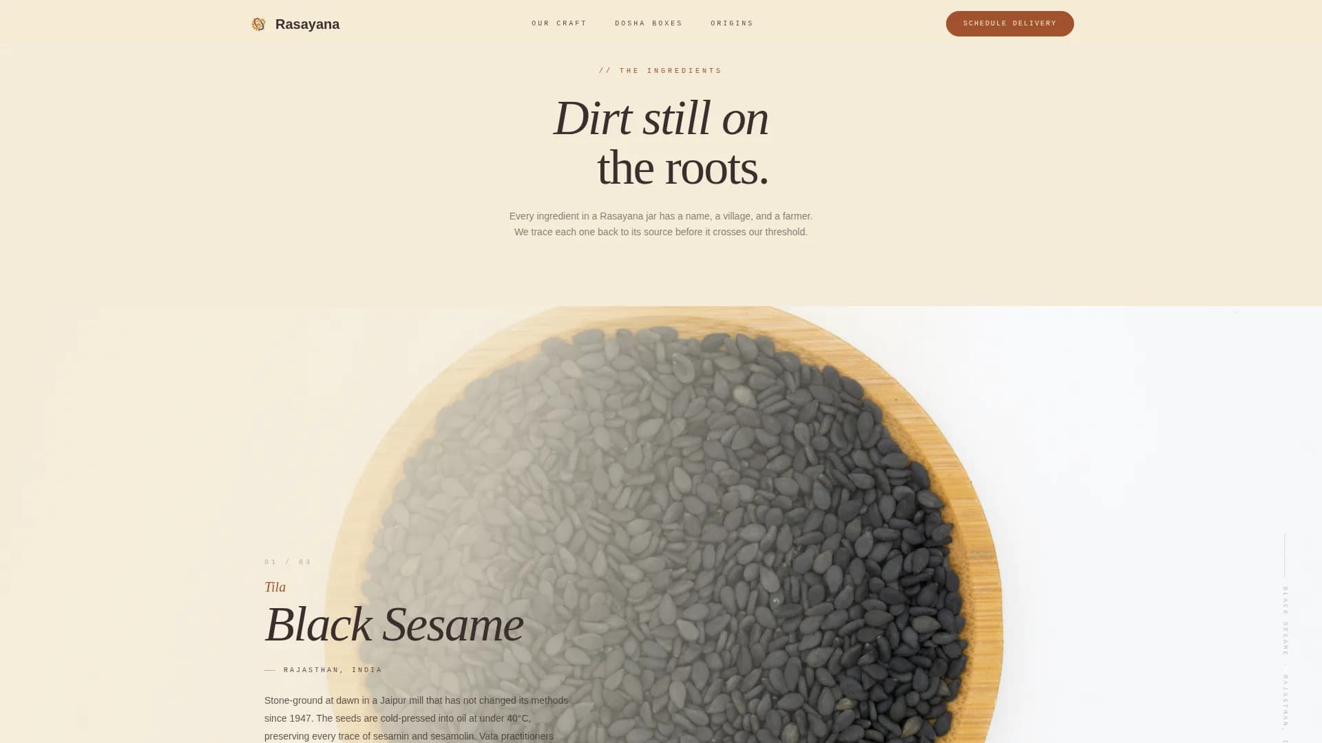 Rasayana — Ayurvedic Delivery Service Landing Page Template