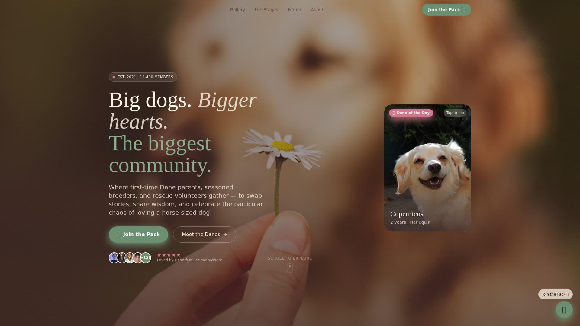 Great Dane Professional Website Template