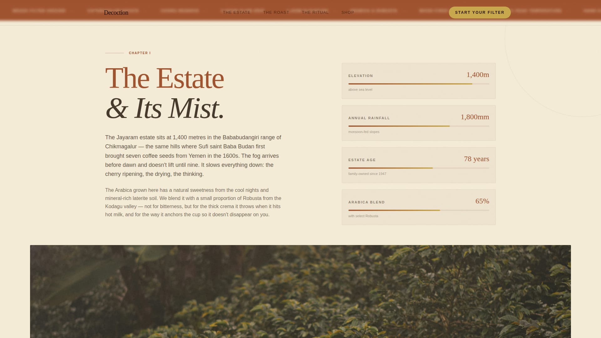 South Indian Filter Coffee Roastery Origin Story Website Template
