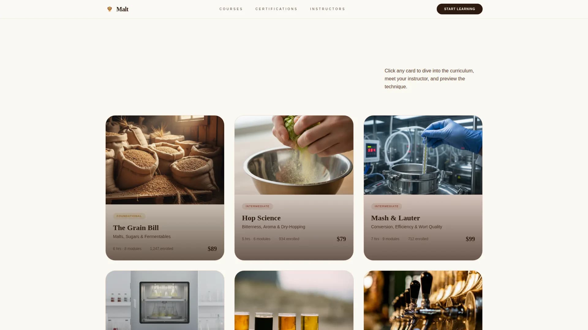 Grain — Expert Beer Education Landing Page Template