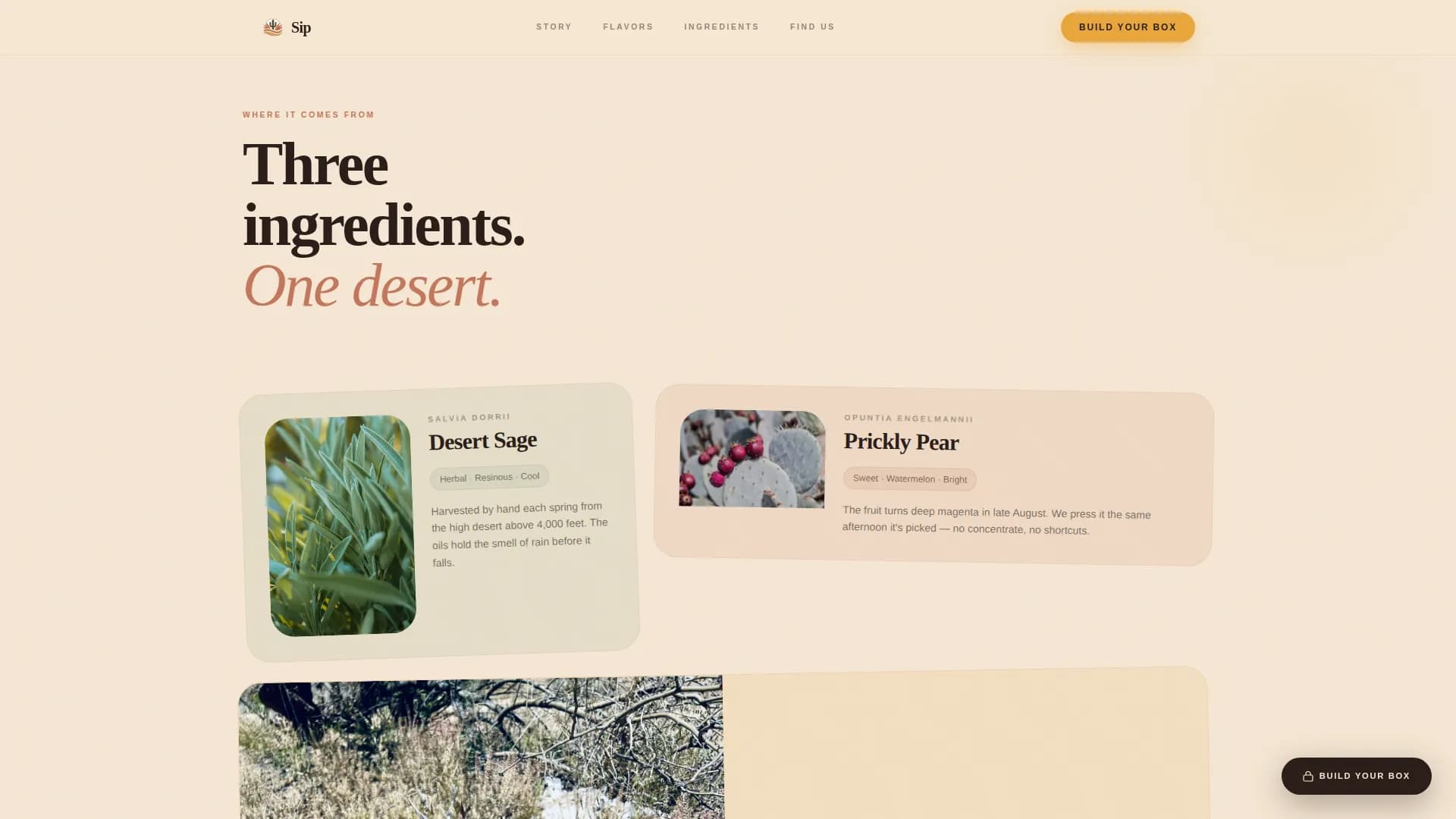 Fizz — Craft Wellness Tonic Landing Page Template