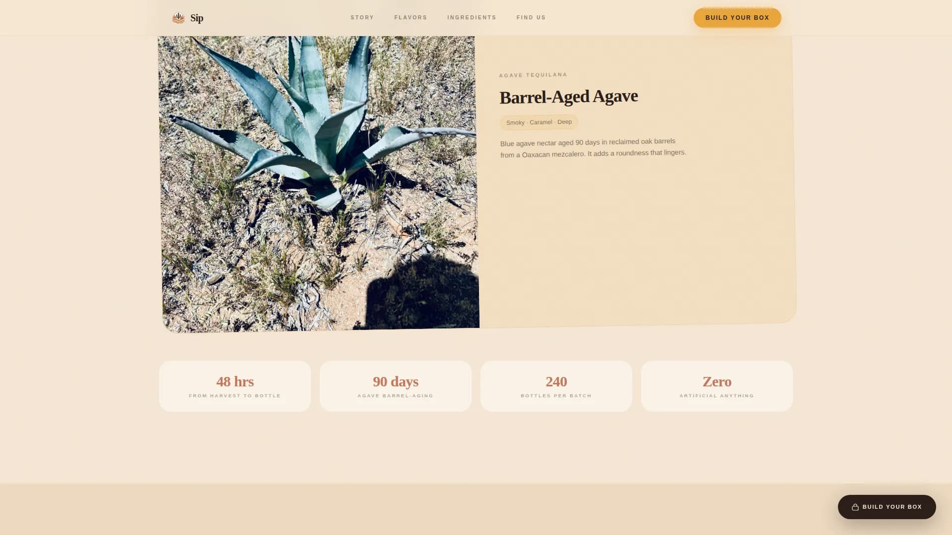 Fizz — Craft Wellness Tonic Landing Page Template