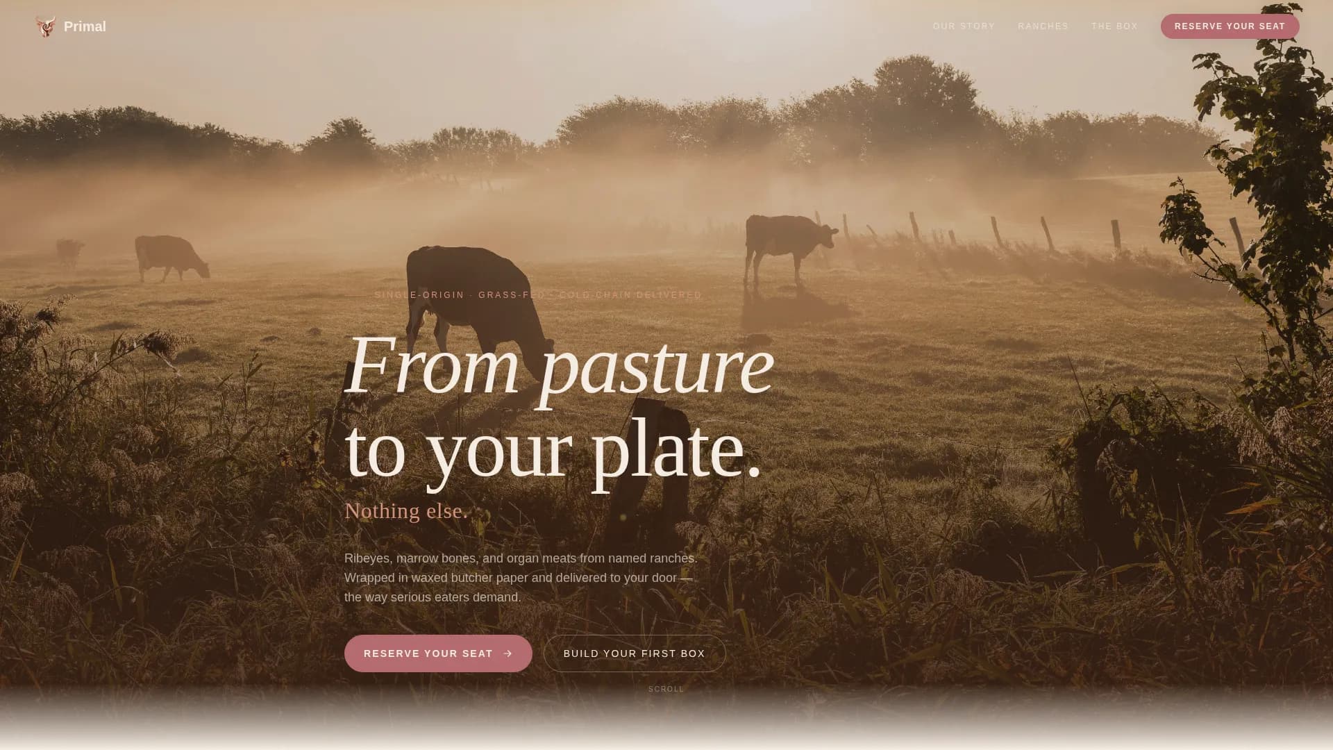Carnivore Diet Food & Dining Professional Website Template