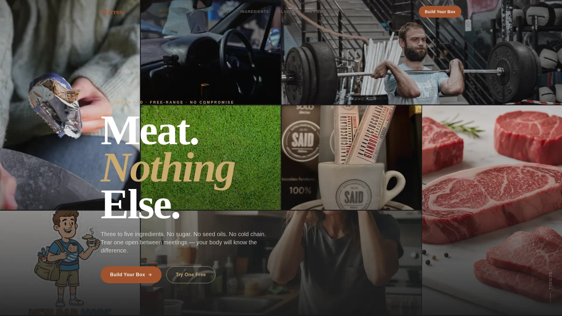 Carnivore Diet Food & Dining Specialist Professional Website Template