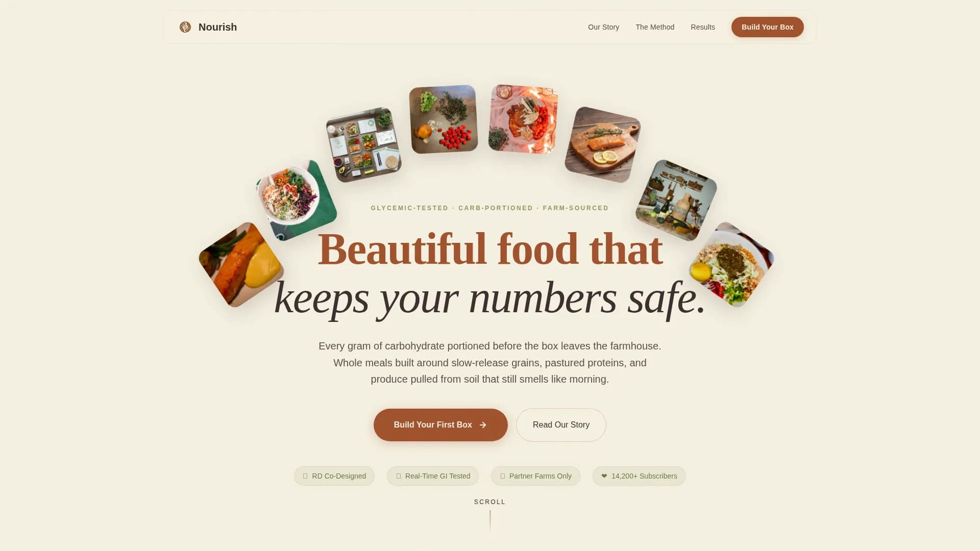 Nourish — Diabetic Meal Kit Landing Page Template
