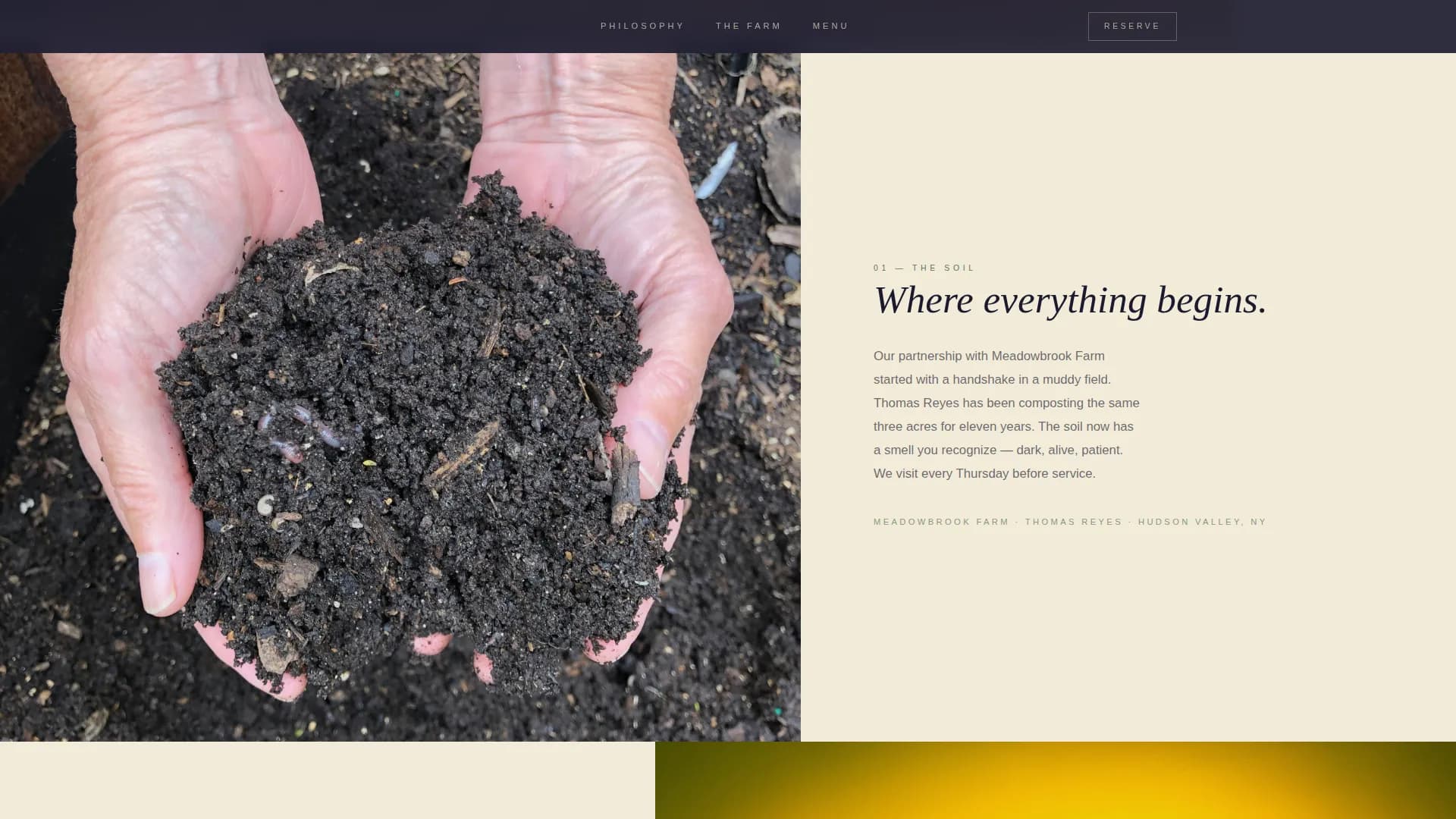 Restaurant & Dining Specialist Professional Website Template
