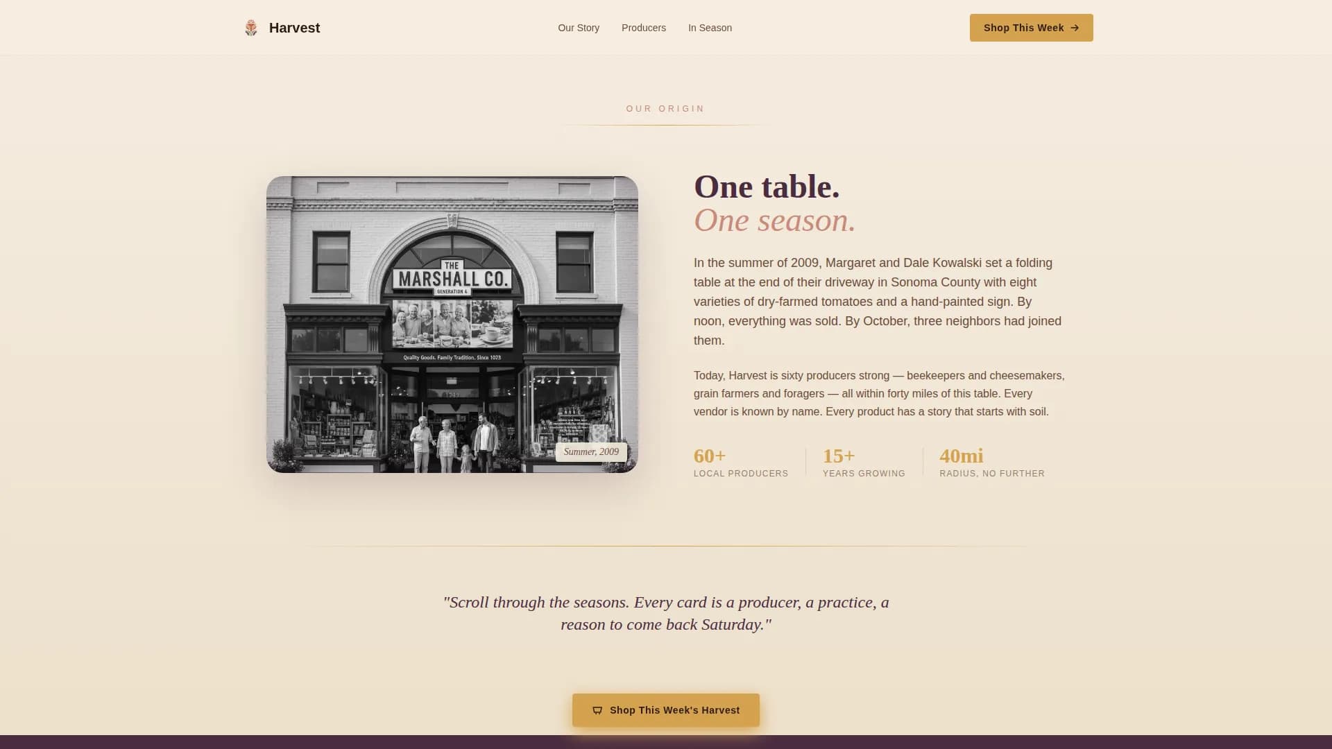Grocery & Food Retail Professional Website Template
