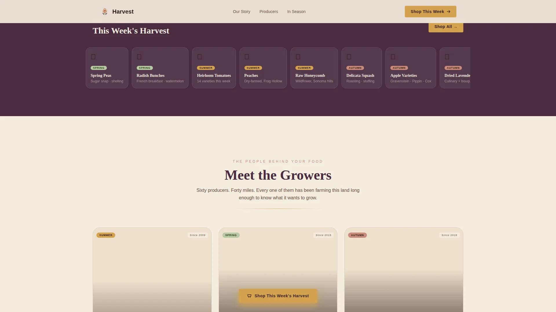 Grocery & Food Retail Professional Website Template