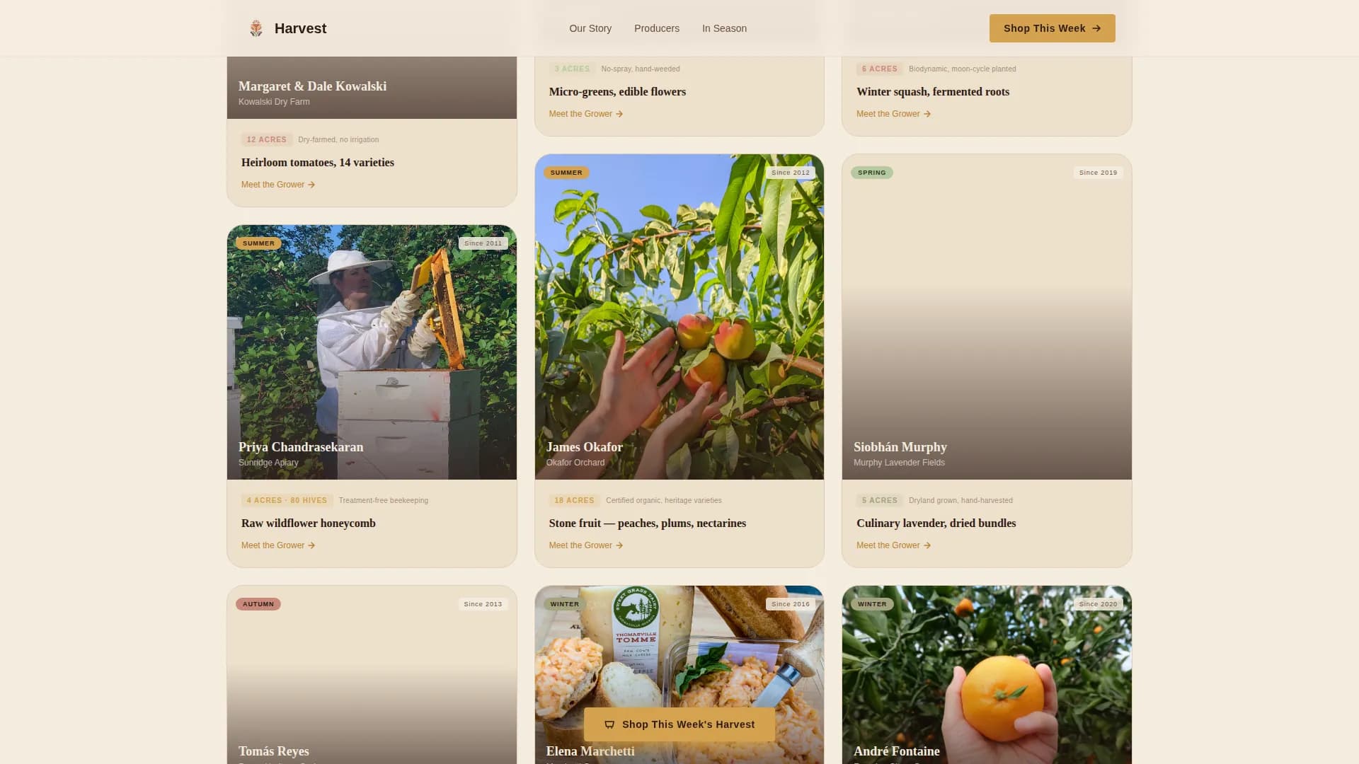 Grocery & Food Retail Professional Website Template
