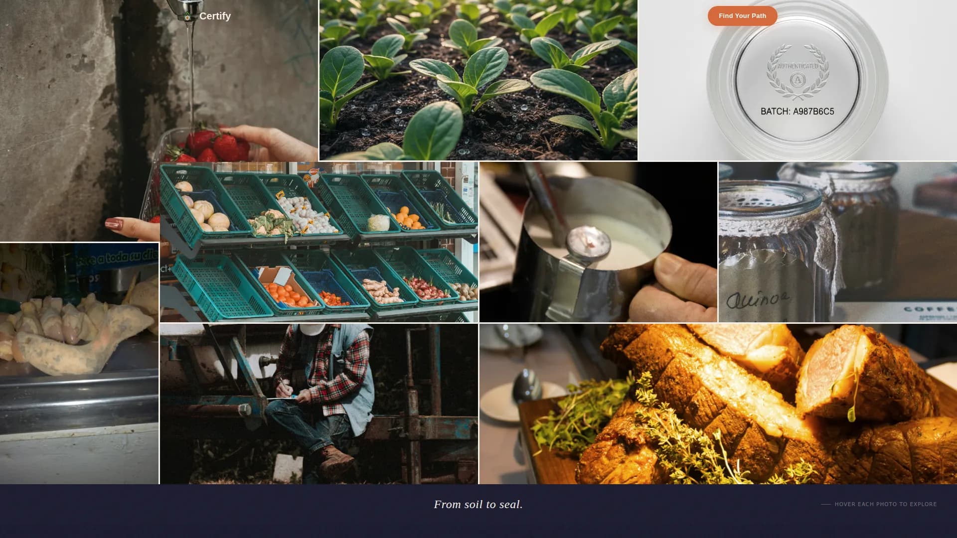 Culinary School & Education Privacy Policy Website Template