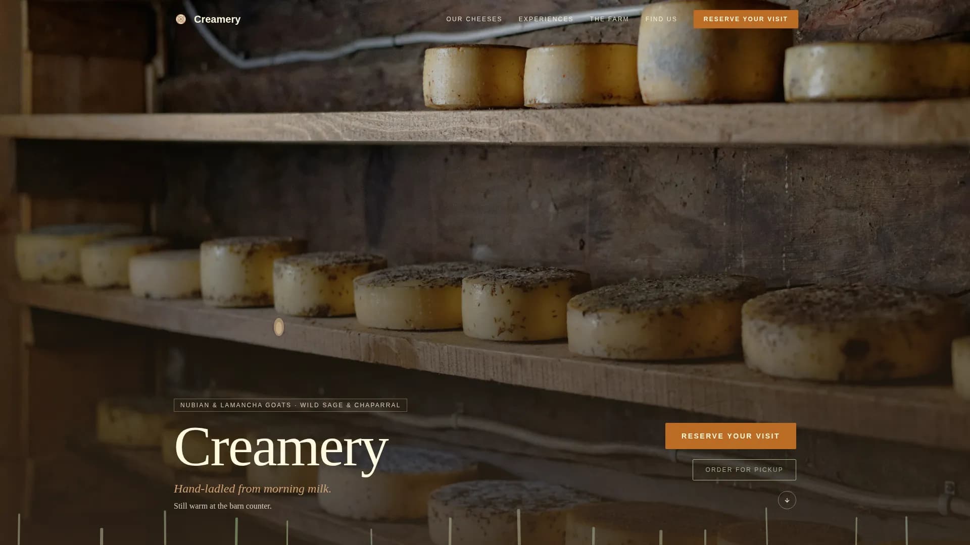 Dairy & Cheese Booking Website Template