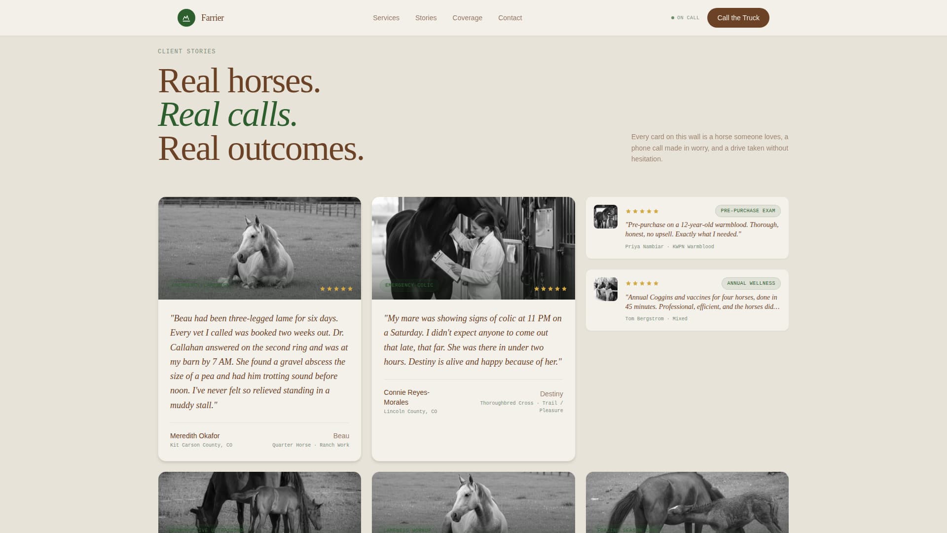 Horse & Equestrian Booking Website Template