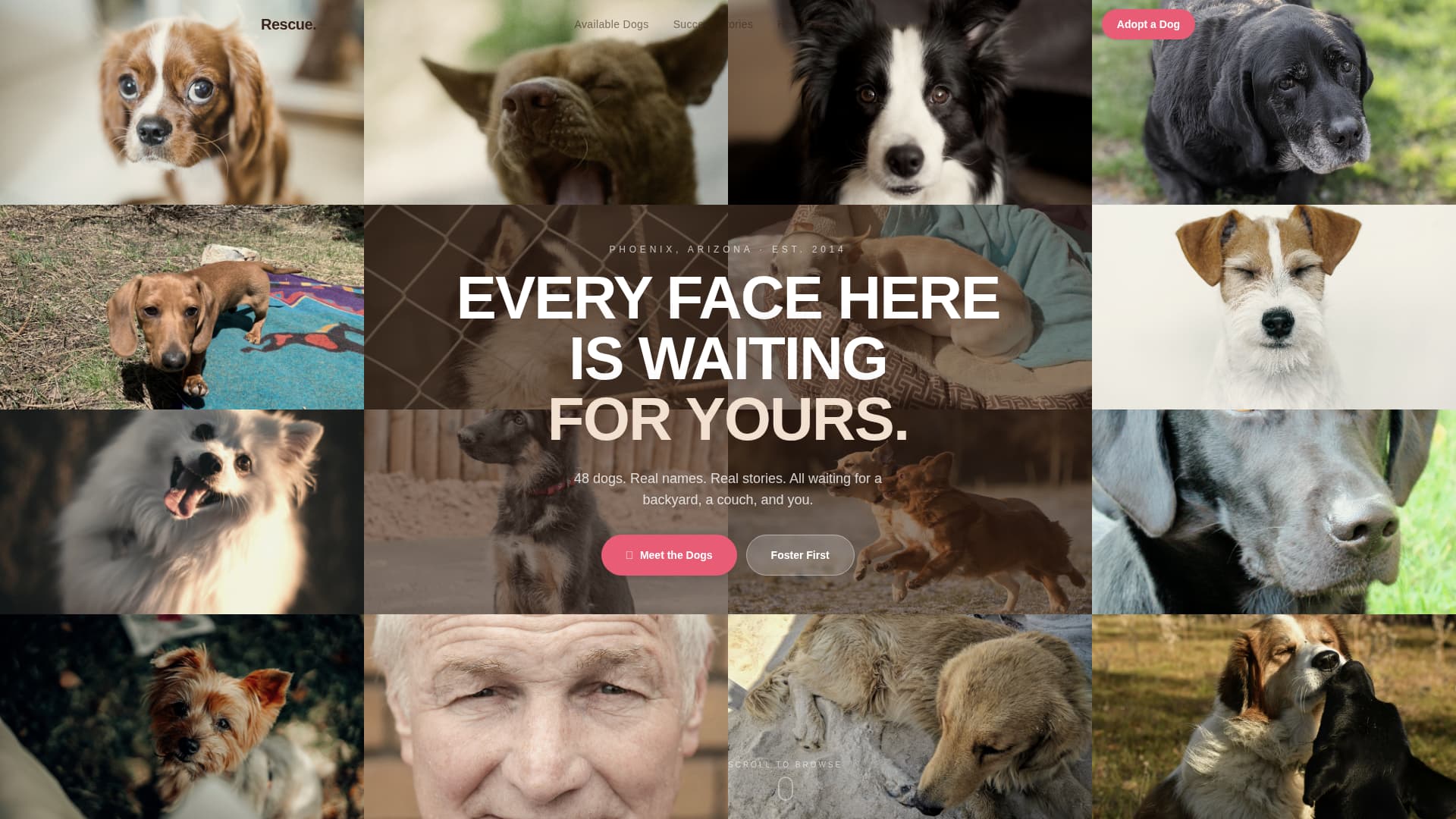 Pet Adoption & Rescue Professional Website Template