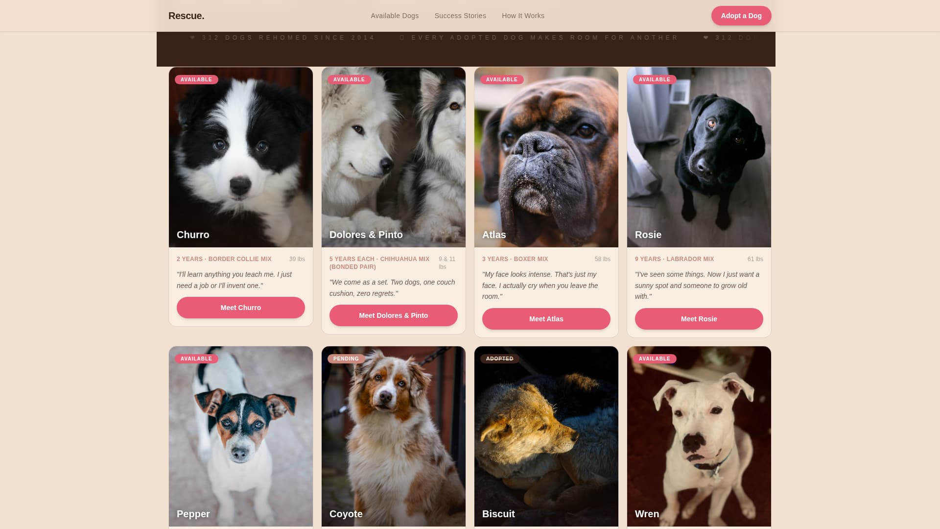 Pet Adoption & Rescue Professional Website Template