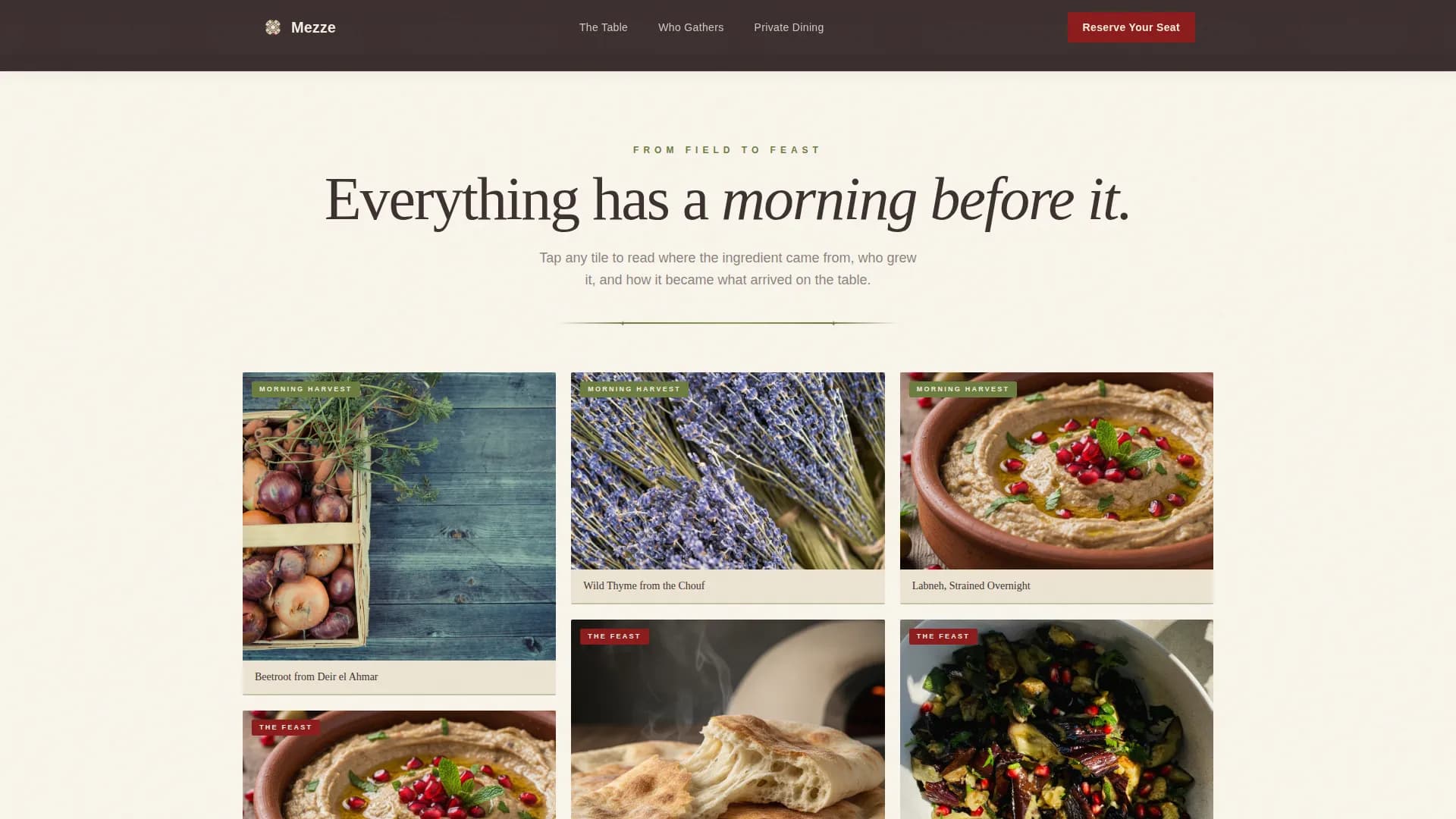 Middle Eastern Cuisine & Dining Independent Professional Website Template