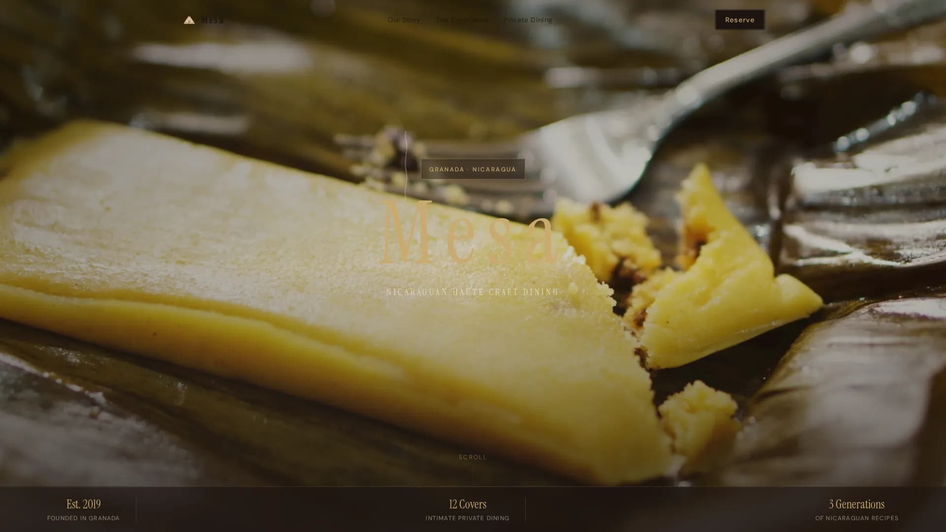 Nicaraguan Cuisine Professional Website Template