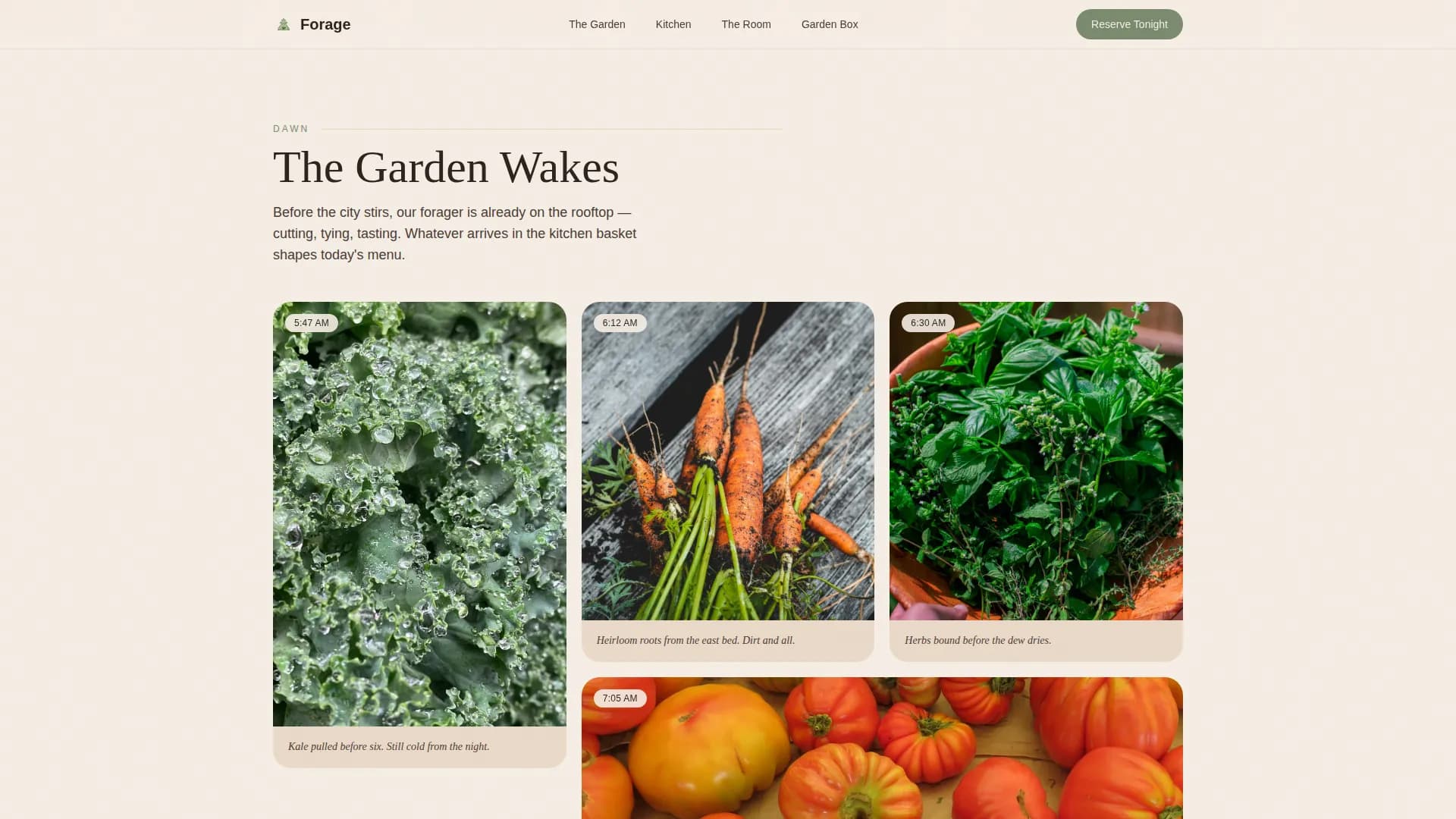 Wild — Gourmet Restaurant Landing Page Template