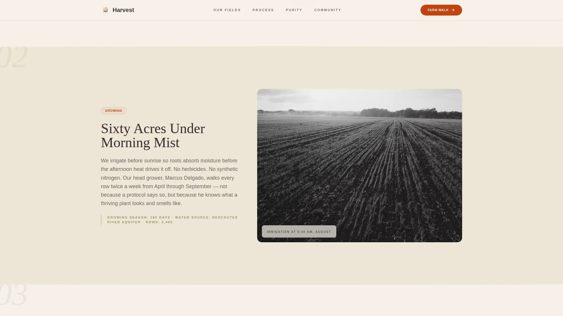 Vitality — Natural Supplement Landing Page Template