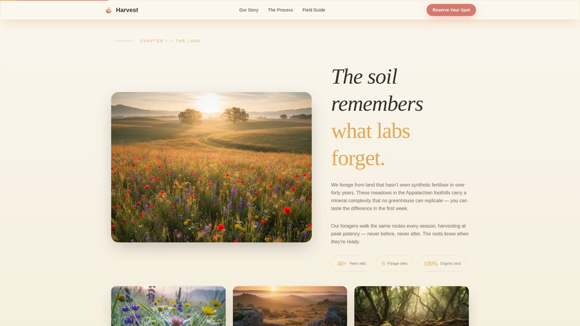 Harvest — Organic Botanical Supplement Landing Page Template