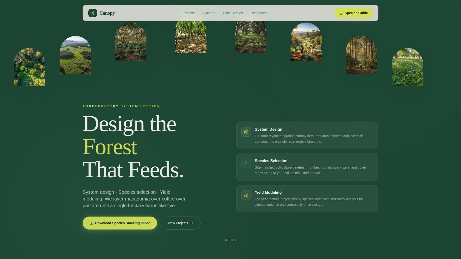 Forestry & Timber Professional Website Template