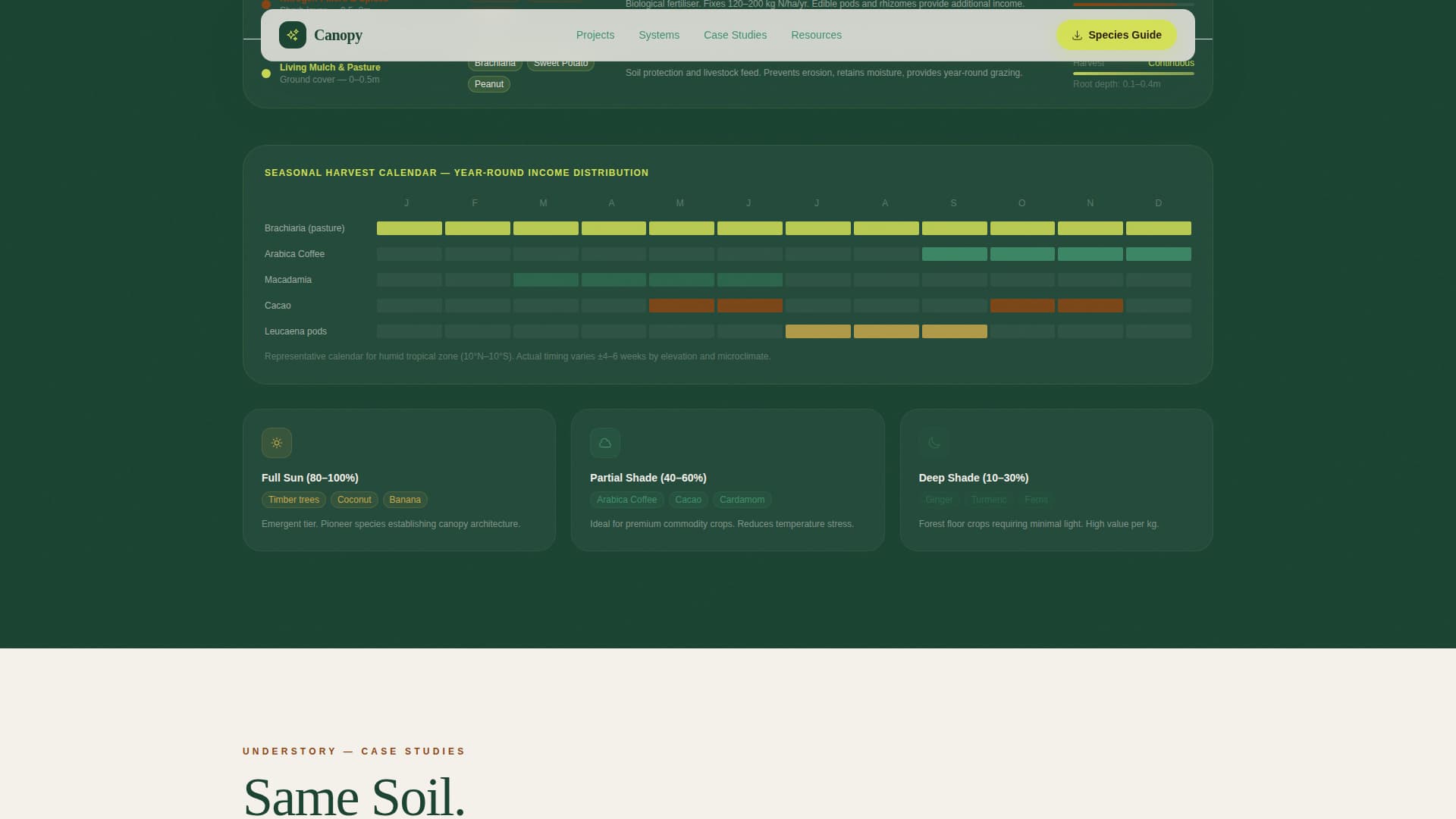 Forestry & Timber Professional Website Template