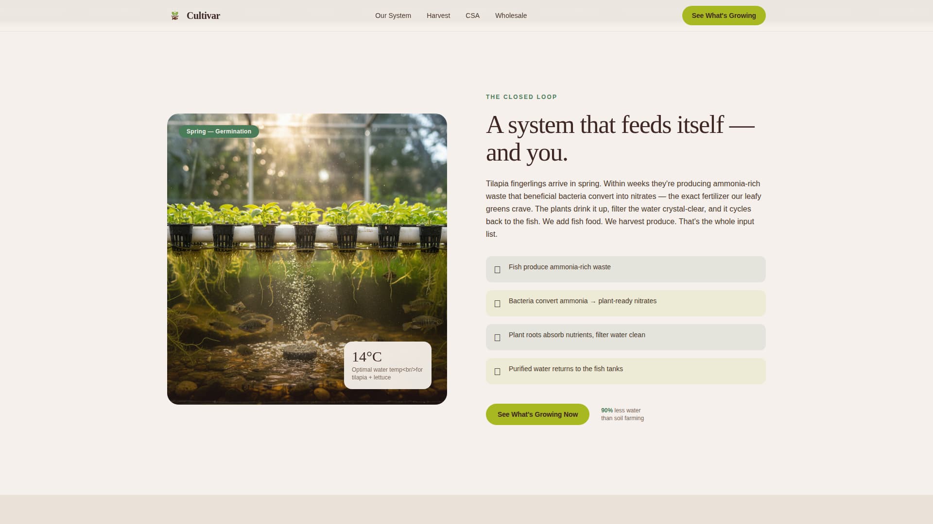 Organic & Sustainable Farm Blog Website Template