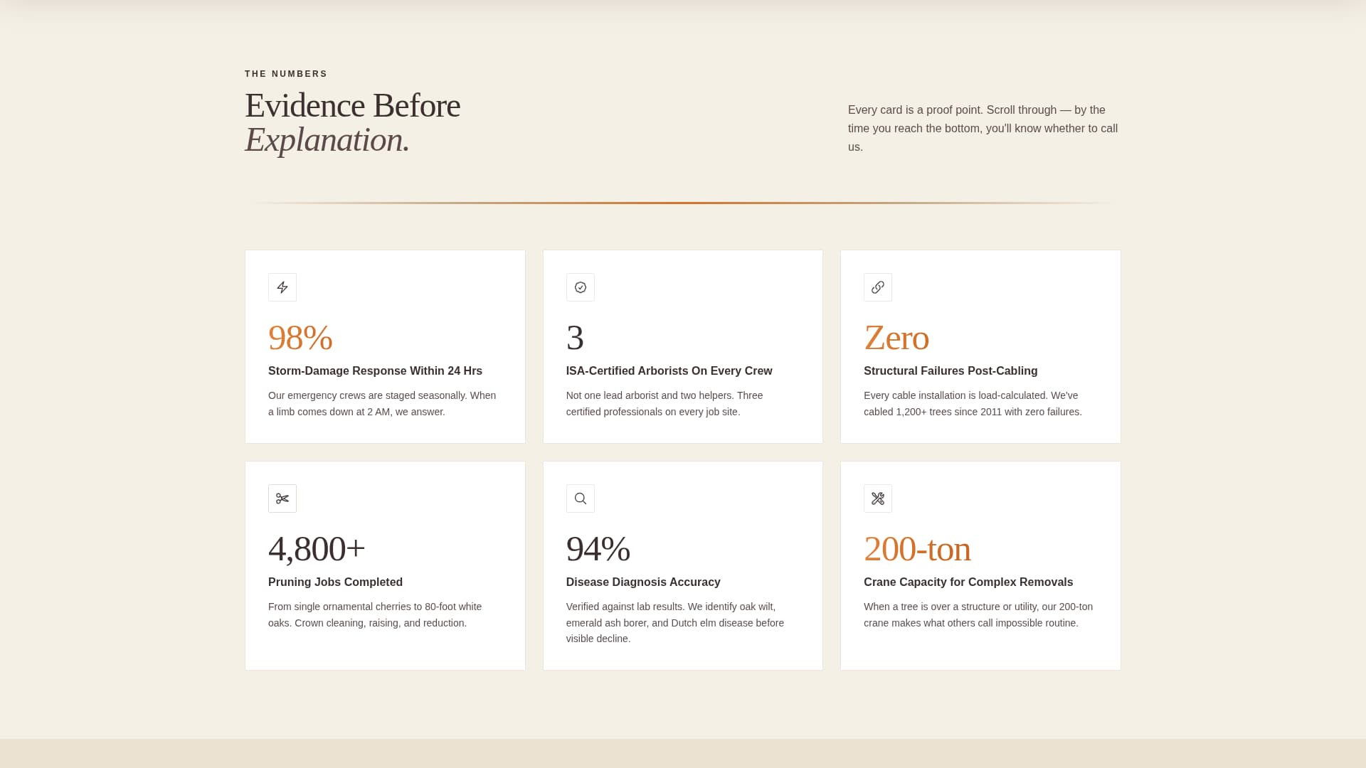 Timber — Certified Tree Care Landing Page Template