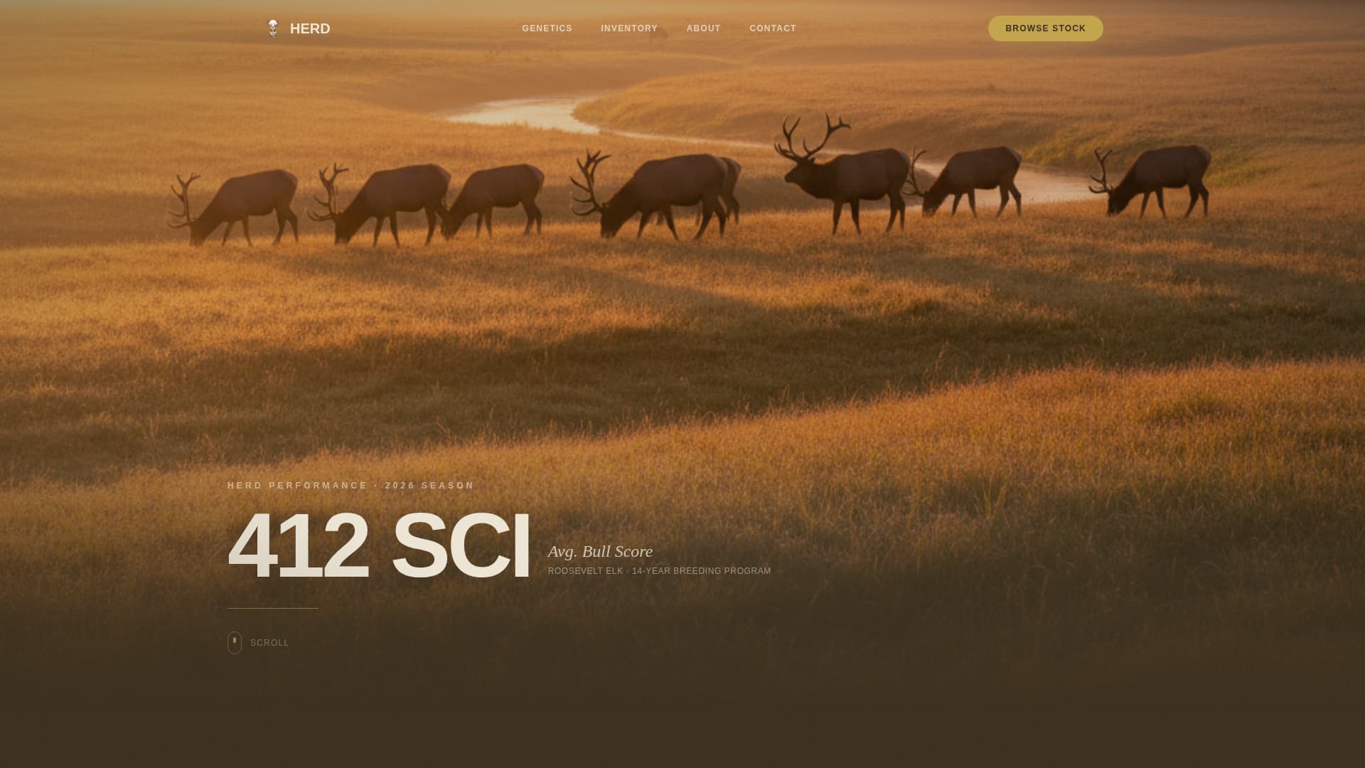 Livestock & Animal Husbandry Specialist Professional Website Template