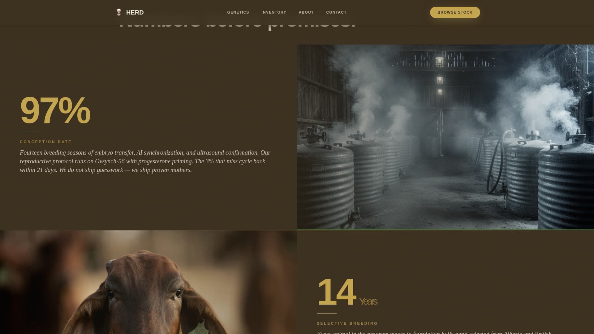 Livestock & Animal Husbandry Specialist Professional Website Template