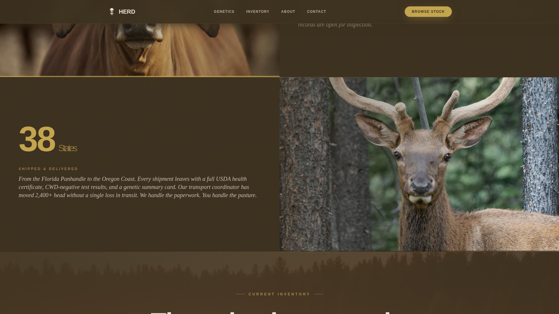 Livestock & Animal Husbandry Specialist Professional Website Template