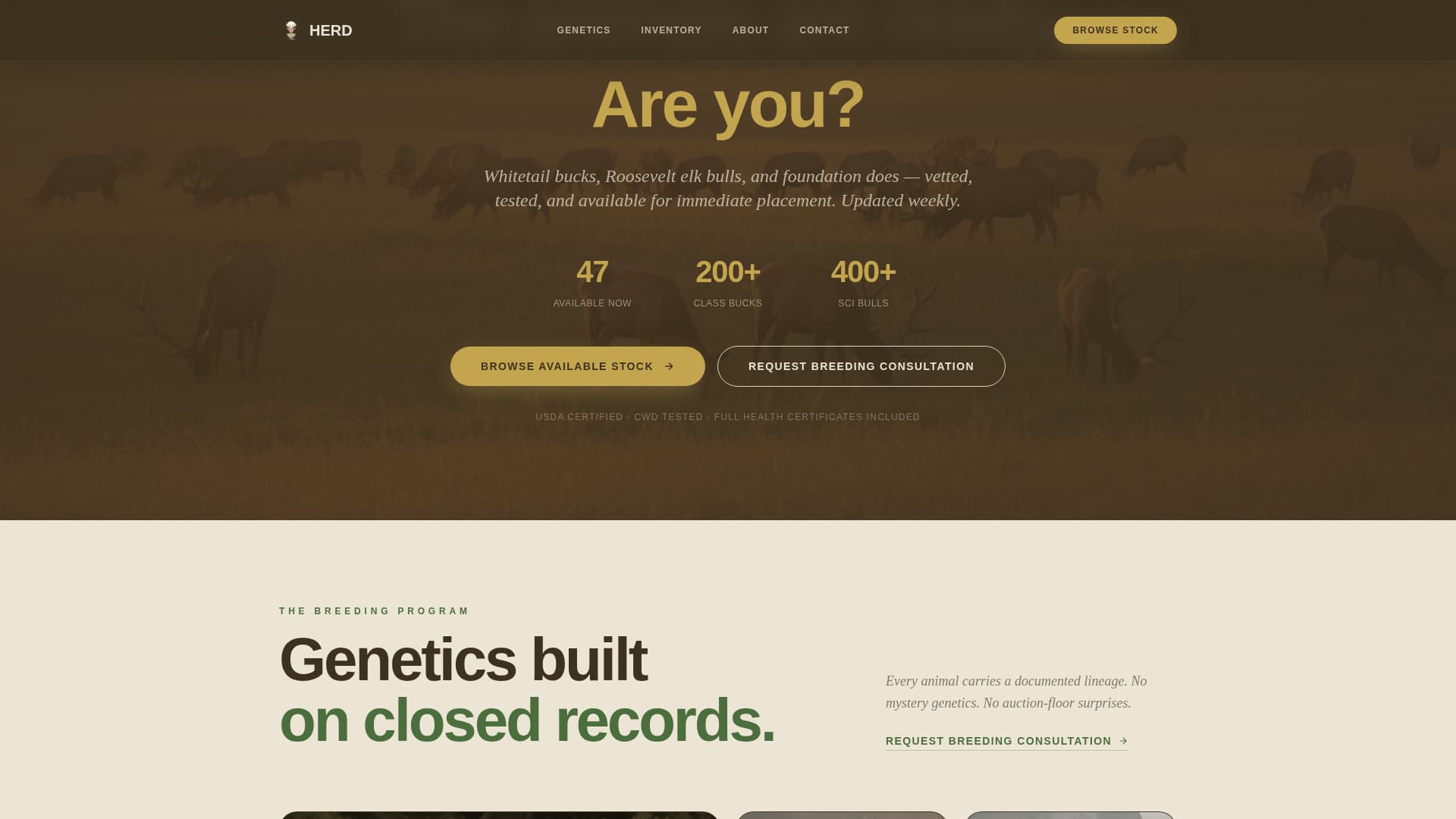 Livestock & Animal Husbandry Specialist Professional Website Template