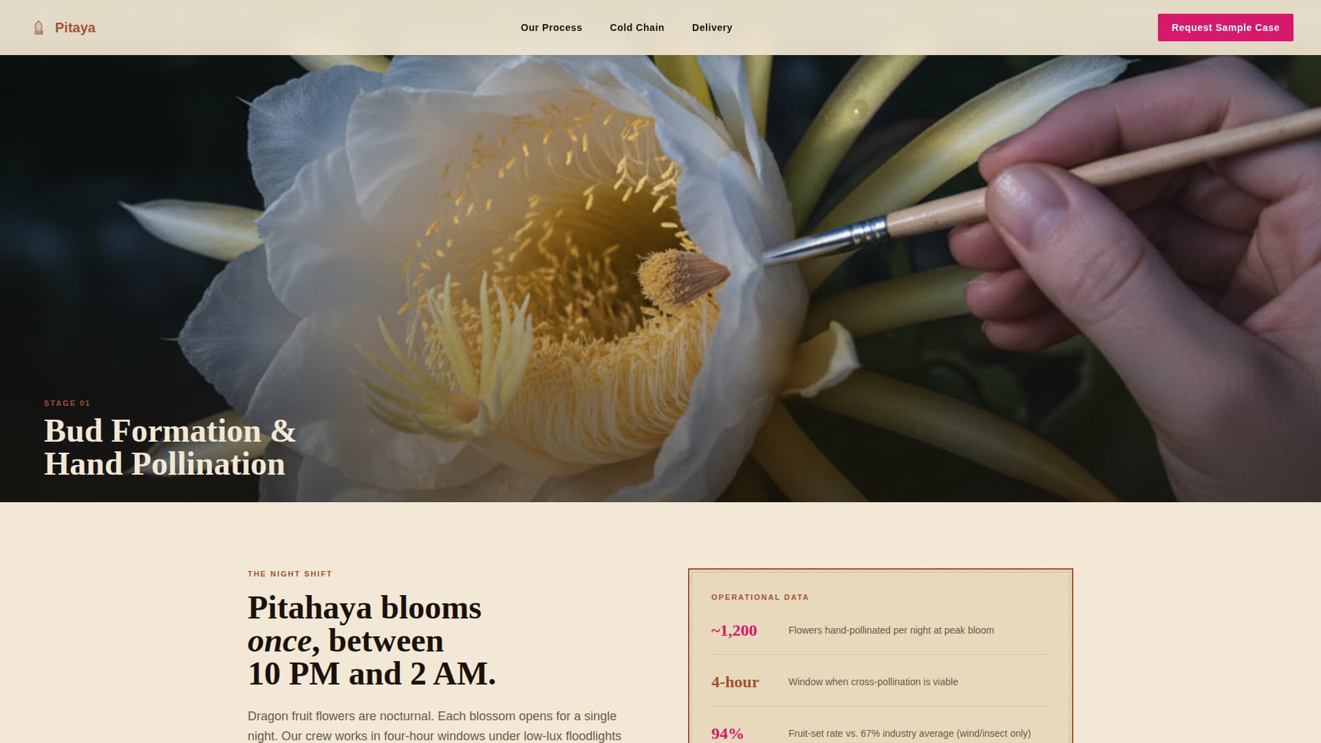 Fruit & Vegetable Farming Specialist Professional Website Template