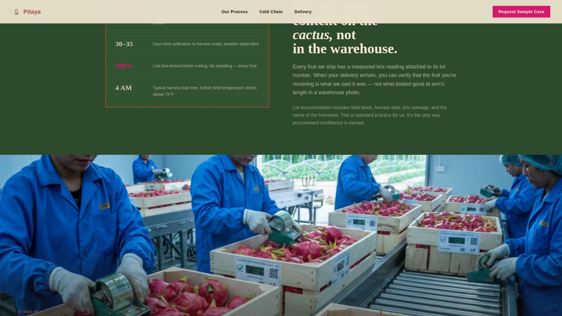 Fruit & Vegetable Farming Specialist Professional Website Template