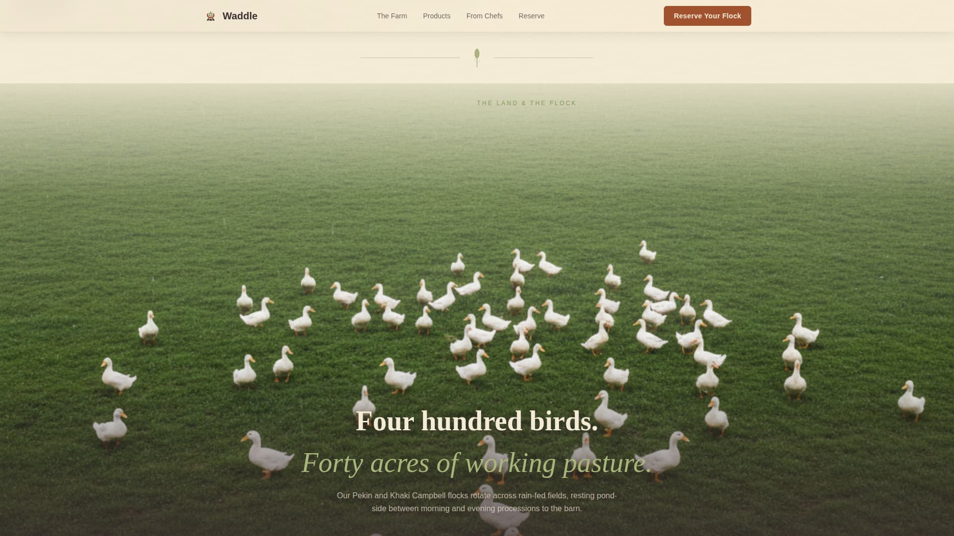 Dairy & Poultry Farm Reviews Website Template