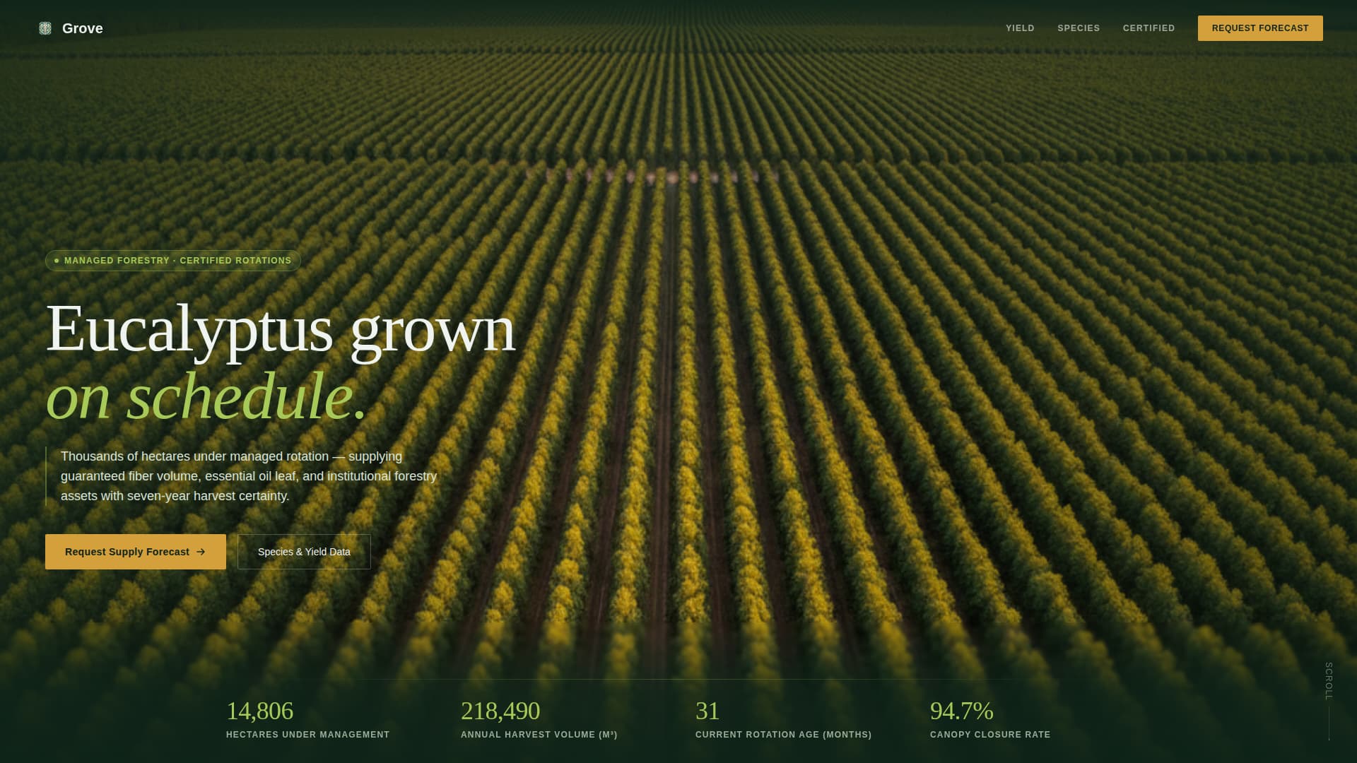 Forestry & Timber Advanced Professional Website Template