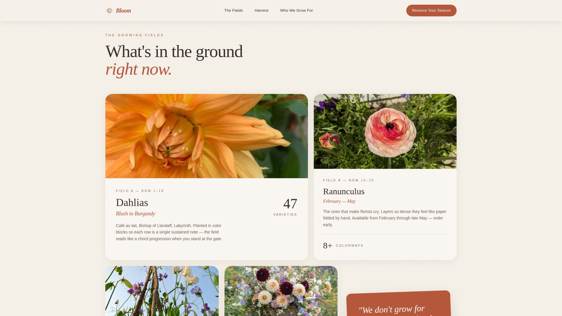 Bloom - Seasonal Flowerfarm Landing Page Template
