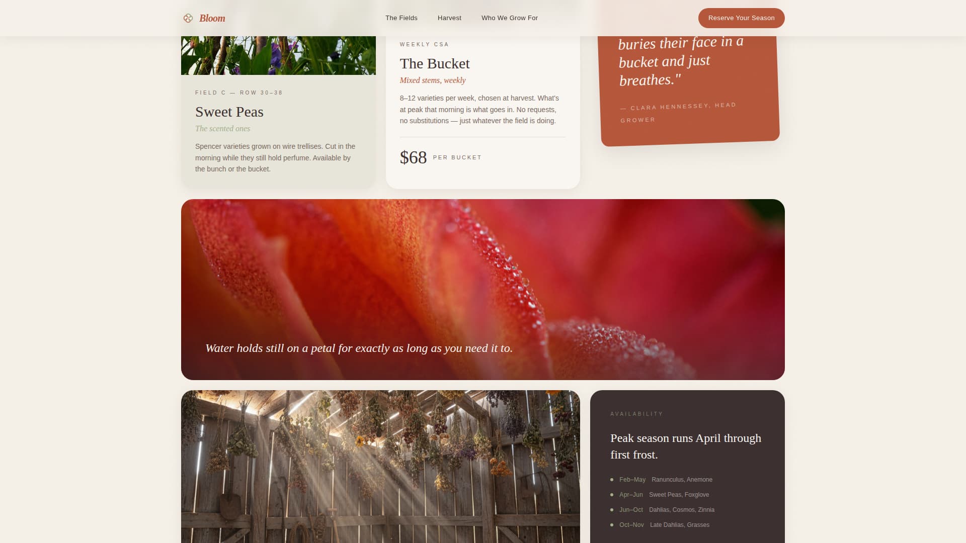 Bloom - Seasonal Flowerfarm Landing Page Template