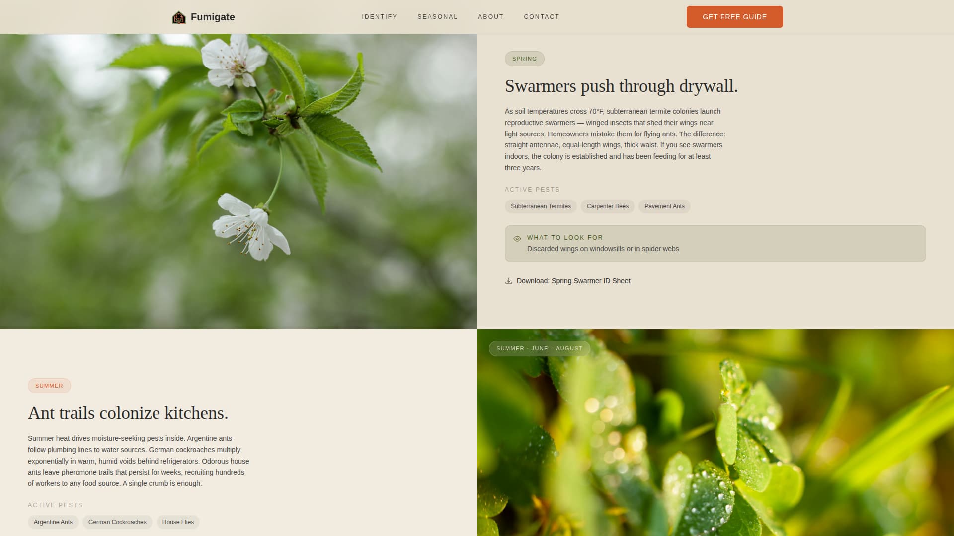Pest & Crop Protection Professional Website Template
