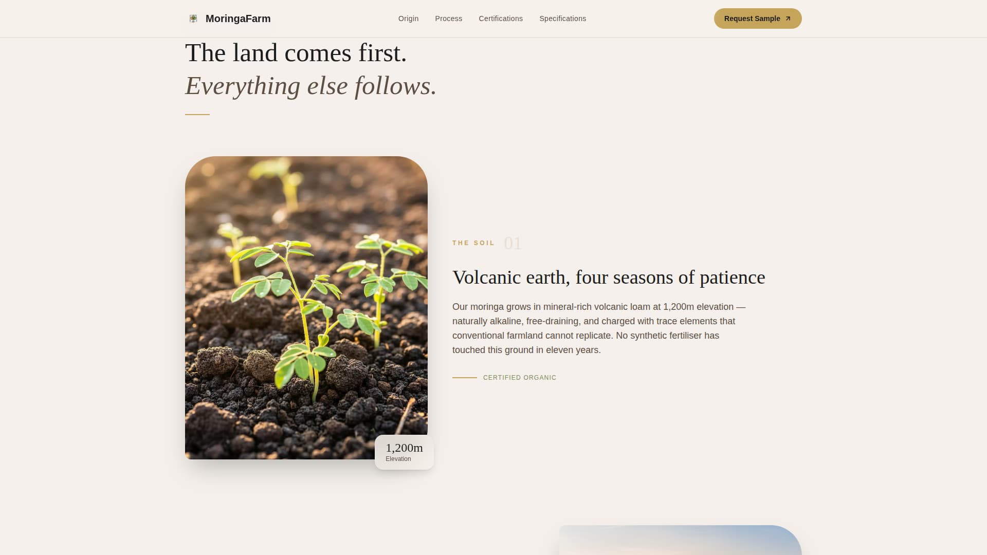 Moringa - Premium Superfood Landing Page Template