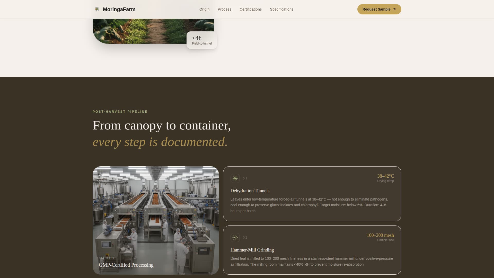Moringa - Premium Superfood Landing Page Template