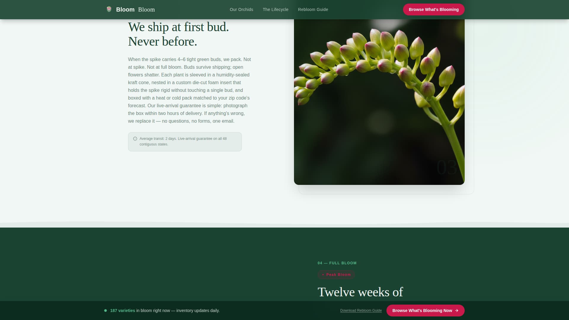 Greenhouse & Indoor Farming Professional Website Template