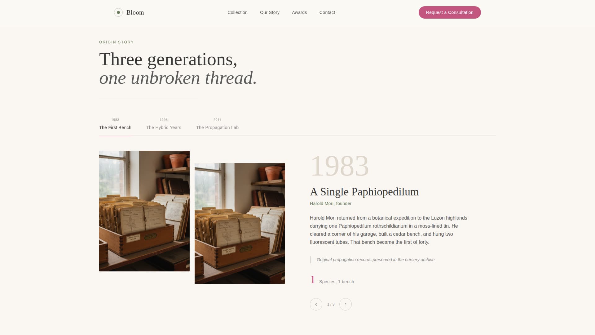 Nursery & Plant Farm Professional Website Template