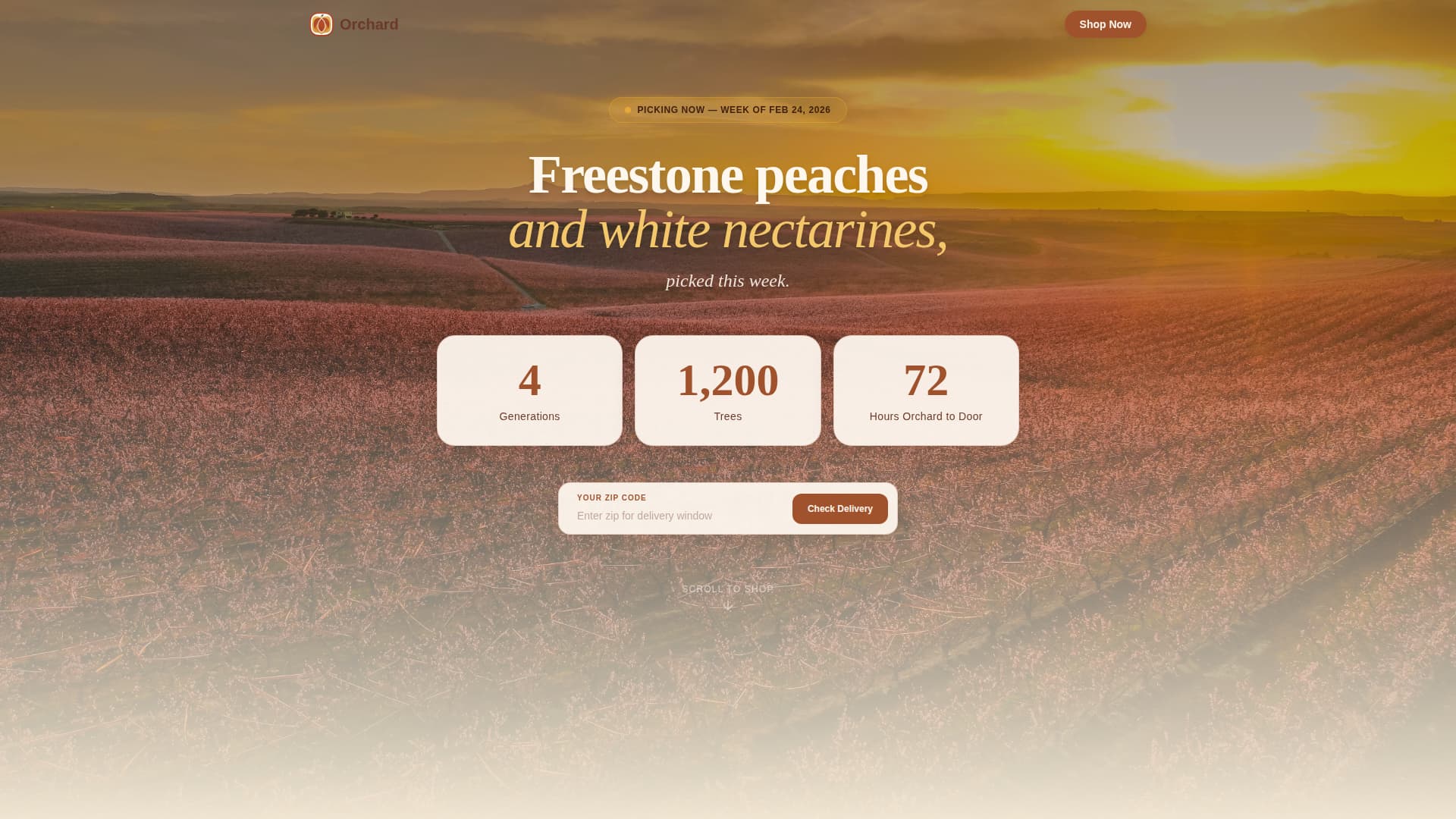 Fruit & Vegetable Farming Complete Professional Website Template