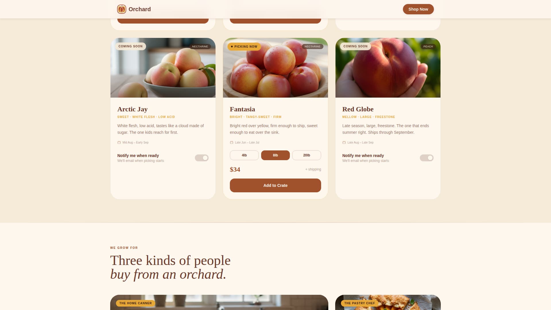 Fruit & Vegetable Farming Complete Professional Website Template