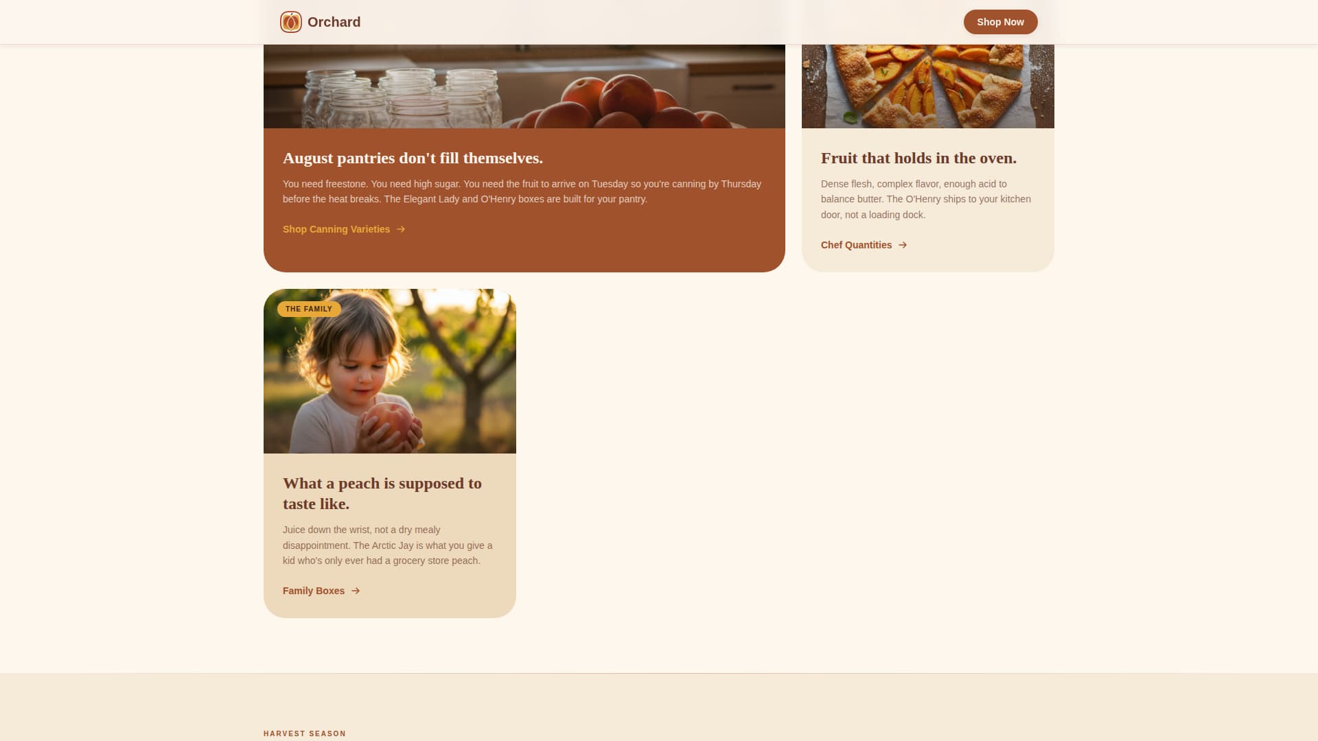 Fruit & Vegetable Farming Complete Professional Website Template