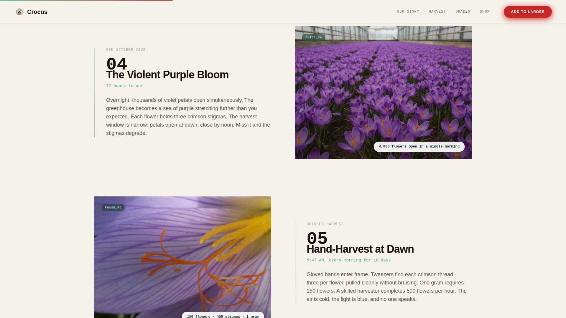 Specialty Farming Pricing Website Template