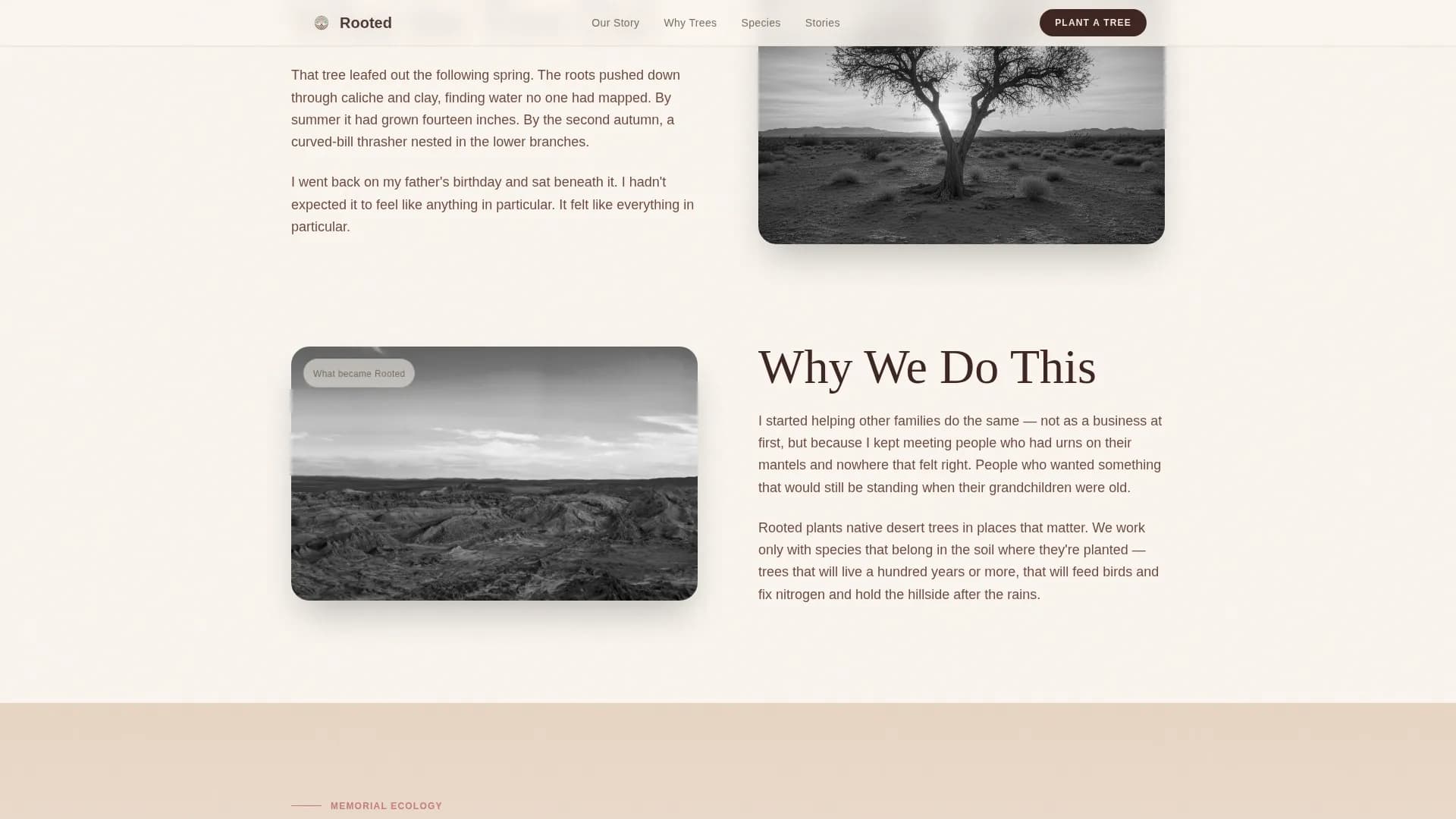 Rooted — Eco Tree Planting Landing Page Template