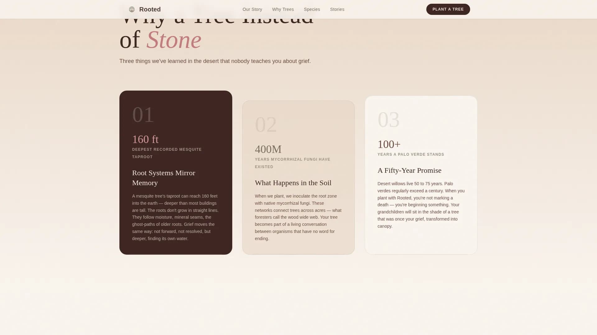 Rooted — Eco Tree Planting Landing Page Template