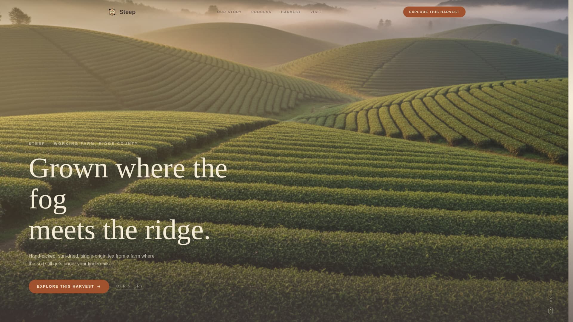 Spice & Herb Farm Blog Website Template